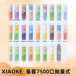 梟客XIAOKE|7500口可發光拋棄式電子煙 跑馬燈一次性