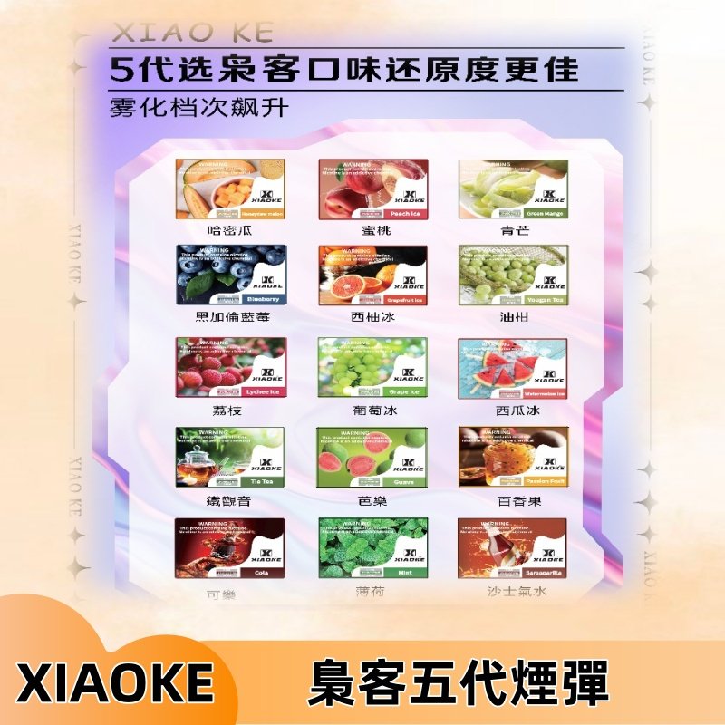 梟客五代煙彈|XIAOKE可替換式電子煙|通用Relx6代|ILIA五代主機